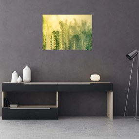 Obraz - Szczegół wiosennej mglistej przyrody (70x50 cm)