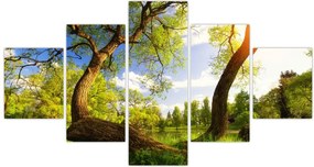 Obraz wiosennej łąki (125x70 cm)