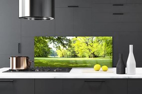 Panel Szklany Trawa Drzewa Park Przyroda