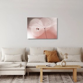 Obraz na szkle - Kropla rosy (70x50 cm)