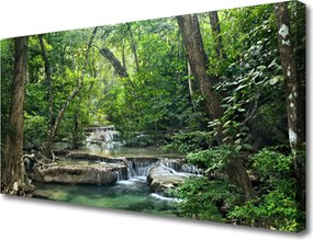 Obraz canvas Tajemniczy Bór w Gęstwinie