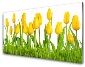 Obraz na Szkle Tulipany Na Ścianę