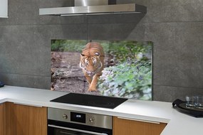 Szkło Ozdobne do Kuchni Tygrys w Cieniu Drzew