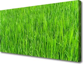 Obraz canvas Soczysta Zielona Murawa