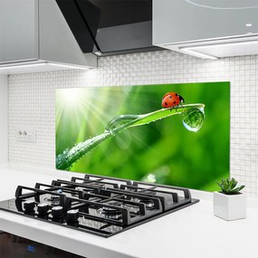 Panel Szklany do Kuchni Mała Biedronka Na Źdźble