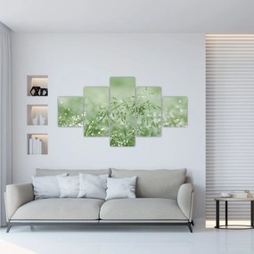 Obraz - Poranna rosa na źdźbłach trawy (125x70 cm)