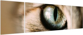 Obraz - Kocie oko (170x50 cm)