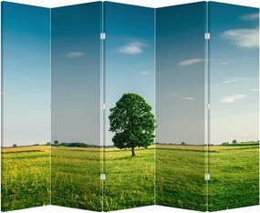 Parawan - Drzewo na łące (210x170 cm)