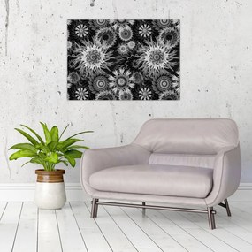 Obraz na szkle - Czarne i białe osty (70x50 cm)