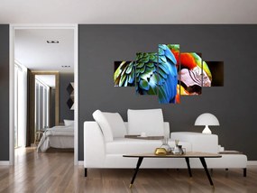 Obraz - Papuga (125x70 cm)
