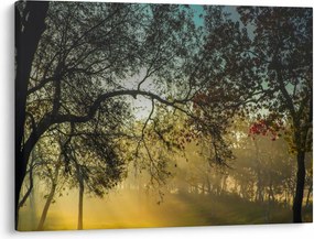 Obraz wschodu słońca (70x50 cm)