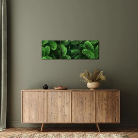 Obraz - Gałązki drzew iglastych (z zegarem) (90x30 cm)