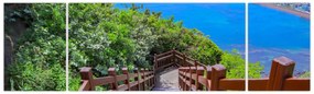 Obraz - Panorama (170x50 cm)