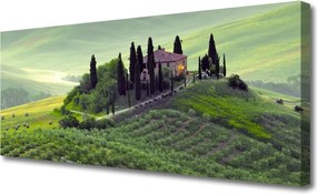 Zdjęcie na płótnie Sielska Łąka z Drzewami