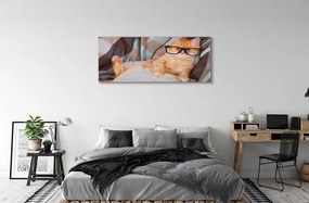 Zdjęcie na płótnie Kot "Czytający" Książkę