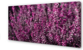 Obraz canvas na ścianę Pole Wrzosów