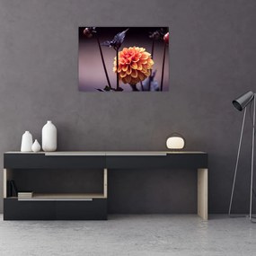 Obraz - Kwiat (70x50 cm)