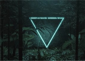 Obraz na szkle - Neonowy trójkąt w dżungli (70x50 cm)