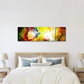 Obraz - Kosmiczny motyl (170x50 cm)