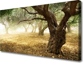 Obraz na płótnie Samotne Drzewo na Polanie