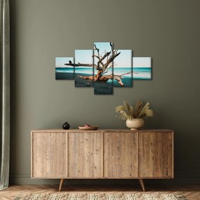 Obraz -  Wyłowiono na plaży (125x70 cm)