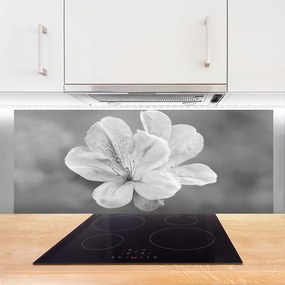 Panel Kuchenny Kolorowy Ogród Na Szkle