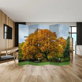 Parawan - Drzewo (210x170 cm)
