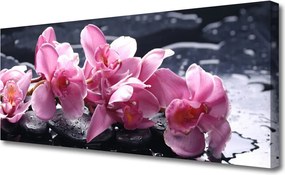 Fotoobraz na płótnie Różowa Orchidea w Detalu