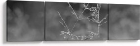 Obraz - Wiejska łąka (170x50 cm)