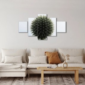 Obraz kuli kwiatowej (125x70 cm)