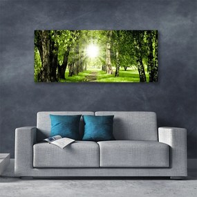 Obraz canvas Rozświetlona Ścieżka Leśna