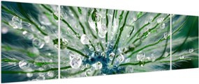 Obraz - Makro zdjęcie kwiatu (170x50 cm)