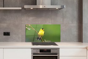 Panel Kuchenny Szklany Słoneczna Żółta Papuga