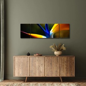 Obraz - Egzotyczny kwiat (170x50 cm)