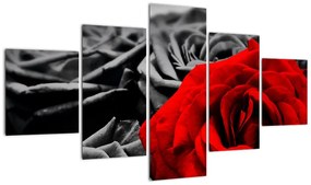 Obraz - Kwiaty róży (125x70 cm)