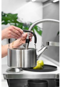 Matowy nierdzewny czajnik z gwizdkiem Vialli Design Diamante, 1,5 l