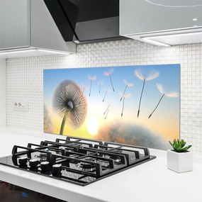 Panel Szklany Puszyste Parasolki Dmuchawca