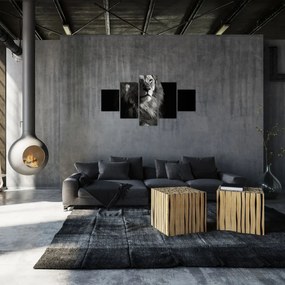 Obraz - Lew (125x70 cm)