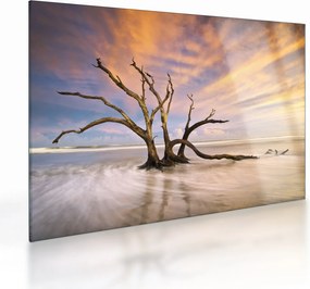 Obraz na szkle drzewa w oceanie (70x50 cm)