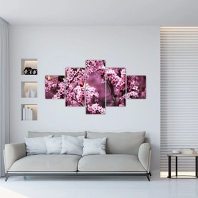 Obraz - Różowa sakura (125x70 cm)