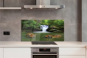 Szklany Panel Tygrysy przy Wodospadzie