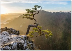 Foto obraz szklany Sokolica Pieniny