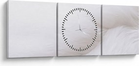 Obraz - Białe pióro (z zegarem) (90x30 cm)