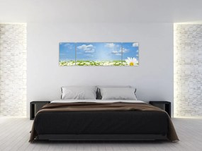 Obraz kwitnącej łąki ze stokrotkami (170x50 cm)