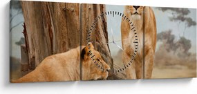 Obraz - dwie lwice (z zegarem) (90x30 cm)