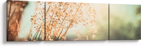 Obraz - Rośliny po deszczu (170x50 cm)