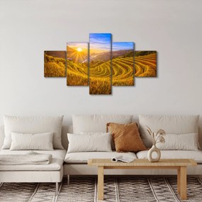 Obraz - Pole ryżowe w Wietnamie (125x70 cm)