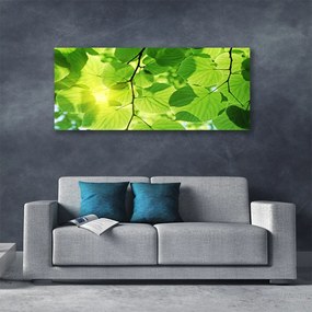 Obraz canvas Botaniczne Liście Paproci