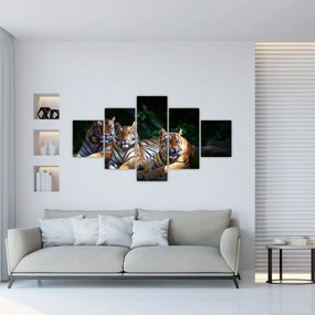 Obraz - Tygrysi Bracia (125x70 cm)