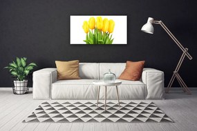 Obraz Canvas Tulipany Kwiaty Roślina